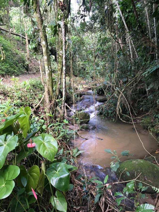 Reserva Dos Manacas 圣佩德罗塞拉 外观 照片